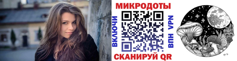 Купить закладки  Жуковка  Псилоцибиновые грибы мицелий 