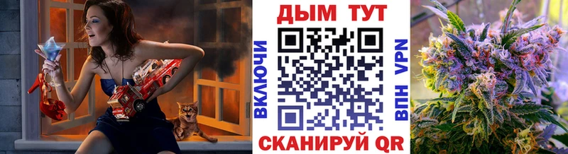 Купить  Жуковка  Канабис ГИДРОПОН 